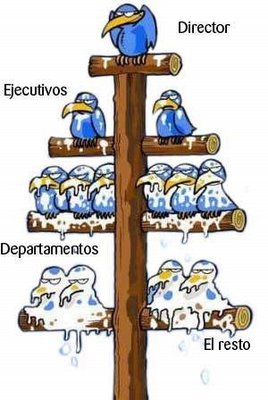 organigrama empresarial