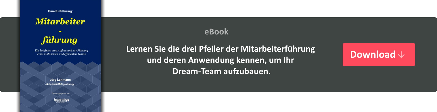 eBook Mitarbeiterführung - igostrategy