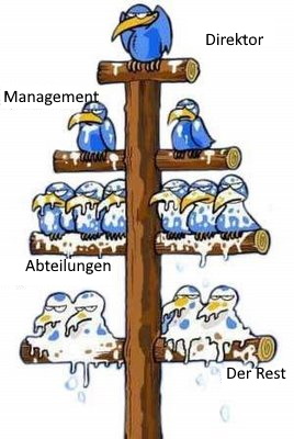 Organigramm - so bitte nicht Organigramm - so bitte nicht
